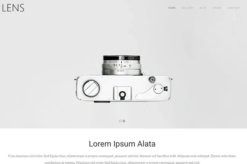 Sample WordPress theme - cameras.