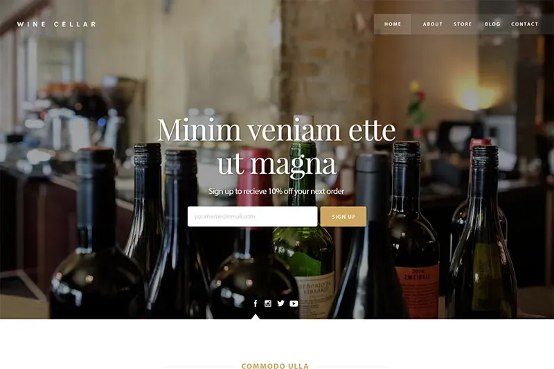 Ukážka šablóny e-shopu s vínom a alkoholickými nápojmi